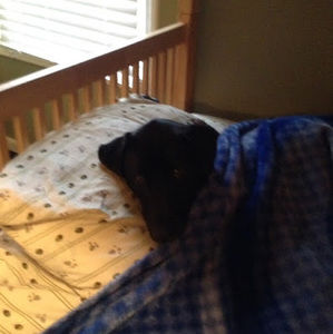 Meet your Posher, Greg